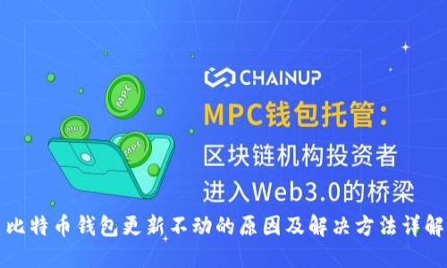 比特币钱包更新不动的原因及解决方法详解