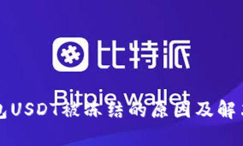 TP钱包USDT被冻结的原因及解决方法
