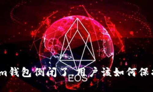Tokenim钱包倒闭了，用户该如何保护资产？