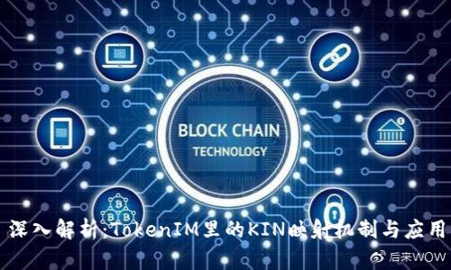 深入解析：TokenIM里的KIN映射机制与应用