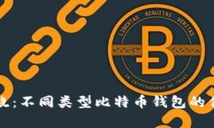 一文通晓：不同类型比特