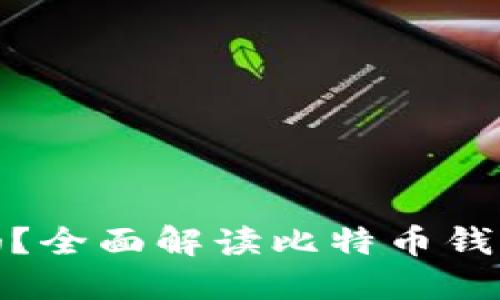 比特币钱包安全吗？全面解读比特币钱包的安全性与风险