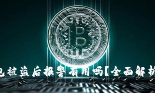 Tokenim钱包被盗后报警有用吗？全面解析与应对措施