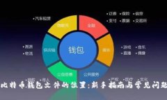 找到比特币钱包文件的位