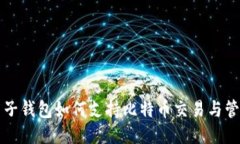 麦子钱包如何支持比特币