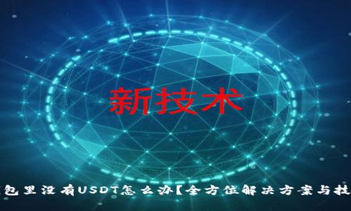 钱包里没有USDT怎么办？全方位解决方案与技巧