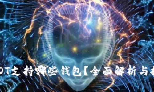 USDT支持哪些钱包？全面解析与推荐