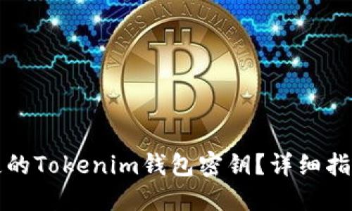 如何找回丢失的Tokenim钱包密钥？详细指南与解决方案