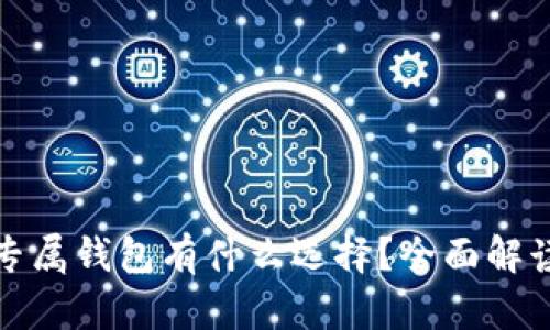比特币专属钱包有什么选择？全面解读与比较
