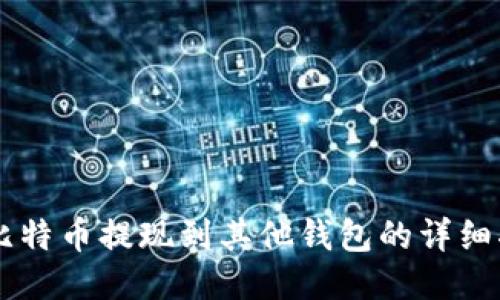 OK比特币提现到其他钱包的详细指南