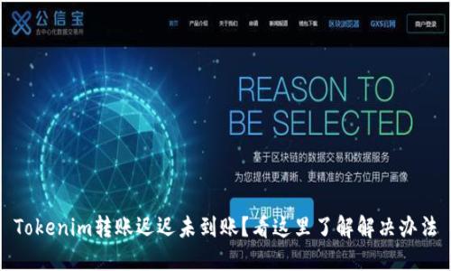 Tokenim转账迟迟未到账？看这里了解解决办法
