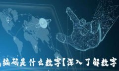   区块链钱包编码是什么数