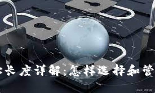 区块链钱包地址长度详解：怎样选择和管理你的数字资产