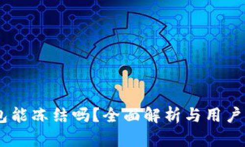 USDT钱包能冻结吗？全面解析与用户必知信息