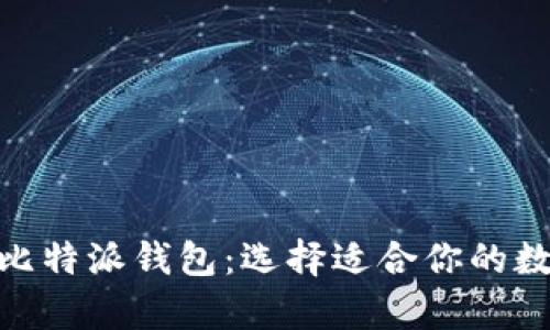深入解析Tokenim与比特派钱包：选择适合你的数字钱包的全方位指南