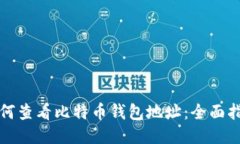 如何查看比特币钱包地址