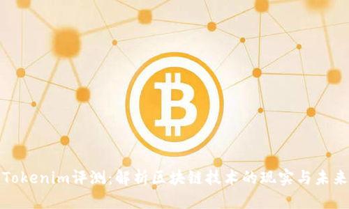 Tokenim评测：解析区块链技术的现实与未来