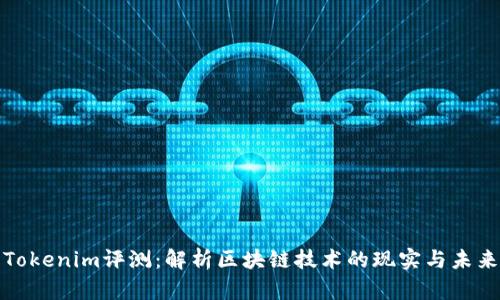 Tokenim评测：解析区块链技术的现实与未来