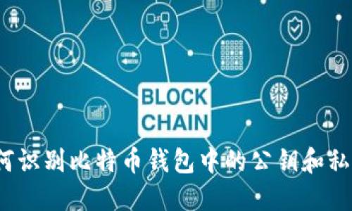 如何识别比特币钱包中的公钥和私钥？