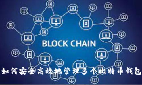 如何安全高效地管理多个比特币钱包