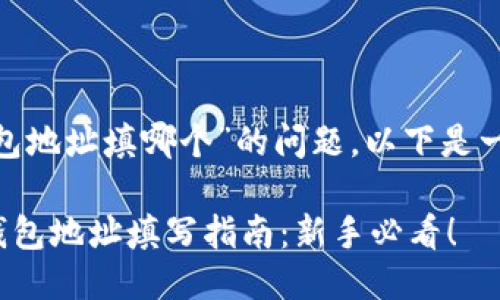 关于“tokenim钱包地址填哪个”的问题，以下是一个结构化的回答：

### Tokenim钱包地址填写指南：新手必看！