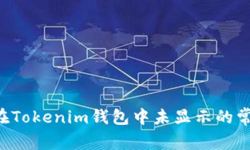 解决FIL币在Tokenim钱包中未显示的常见问题指南