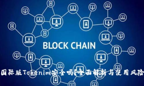 国际版Tokenim安全吗？全面解析与使用风险