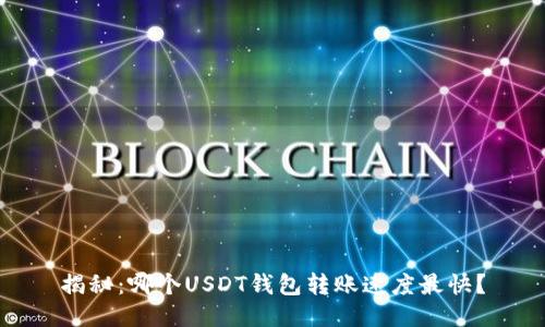 揭秘：哪个USDT钱包转账速度最快？