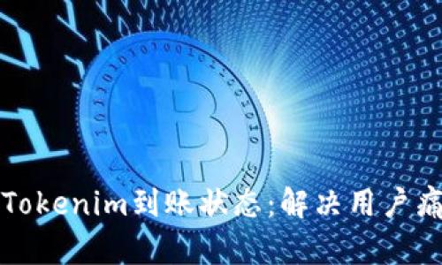 如何快速查询Tokenim到账状态：解决用户痛点的全面指南