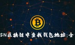 如何在BSN区块链中查找钱
