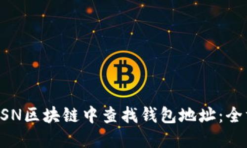 如何在BSN区块链中查找钱包地址：全方位指南