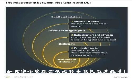 如何安全管理你的比特币钱包及其数量？