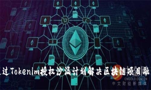 如何通过Tokenim授权沙漏计划解决区块链项目融资难题